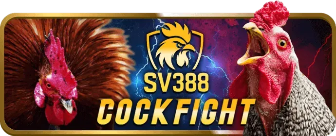 Biểu đồ cấp độ VIP s888 khuyến mãi